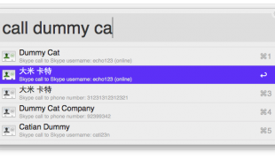 Skype-Call